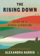 Image for The rising down