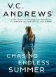Image for Chasing Endless Summer