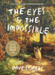 Image for The Eyes and the Impossible