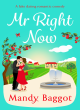 Image for Mr Right Now