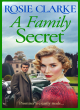 Image for A Family Secret