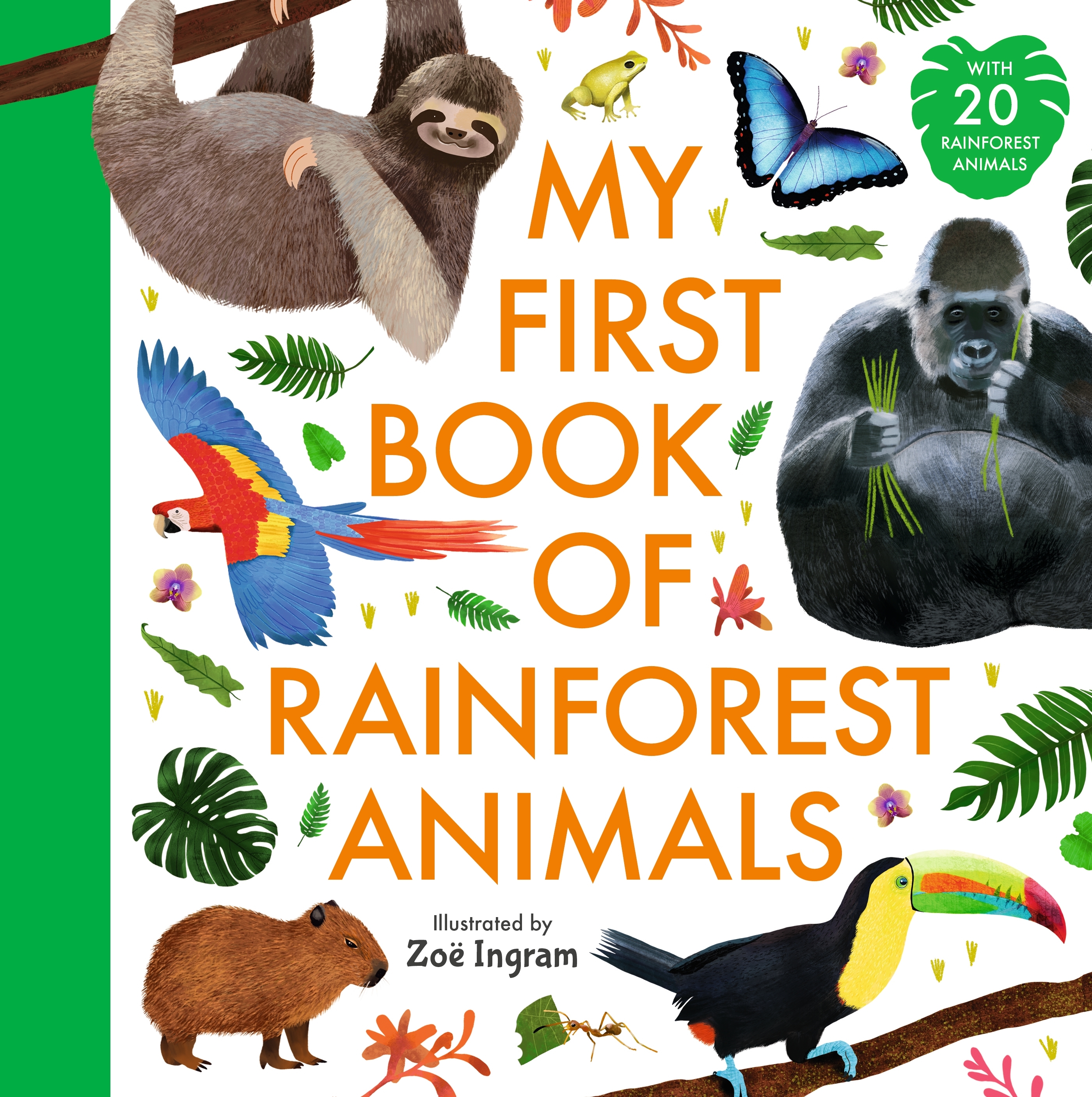 Image for My First Book of Rainforest Animals
