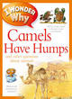 Image for I Wonder Why Camels Have Humps