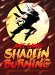 Image for Shaolin burning