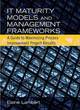 Image for IT Maturity Models and Management Frameworks