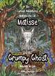Image for Matisse and the Grumpy Ghost