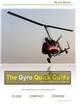 Image for The Gyro Quick Guide