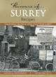 Image for Flavours of ... Surrey  : recipes