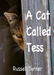 Image for A Cat Called Tess