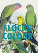 Image for Flocks of Colour