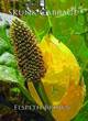 Image for Skunk Cabbage