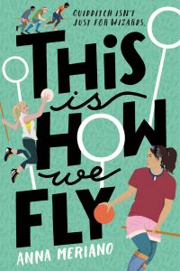 Jacket Image For: This Is How We Fly