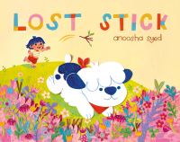 Jacket Image For: Lost Stick