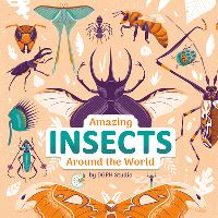 Jacket Image For: Amazing Insects Around the World
