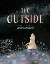 Jacket Image For: The Outside