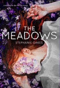 Jacket Image For: The Meadows