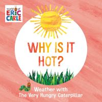 Jacket Image For: Why Is It Hot?