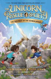 Jacket Image For: The Secret of the Himalayas