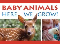 Jacket Image For: Baby Animals!