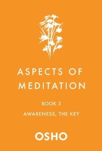 Jacket Image For: Aspects of Meditation Book 3