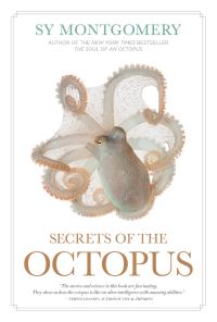 Jacket Image For: Secrets of the Octopus