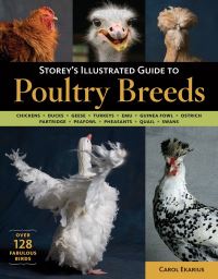 Jacket image for Storey's Illustrated Guide to Poultry Breeds