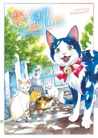 Jacket Image For: A Story of Seven Lives