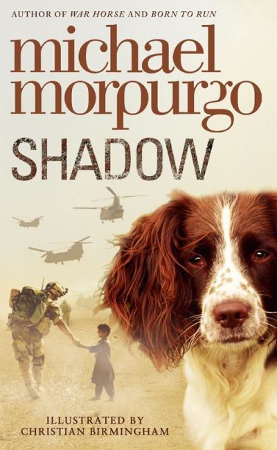Shadow