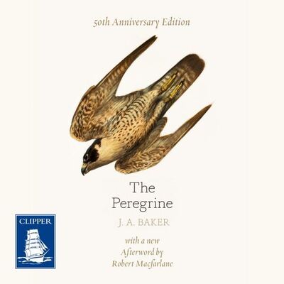 The Peregrine [electronic resource]