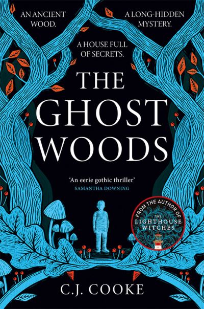 Jacket image for The ghost woods