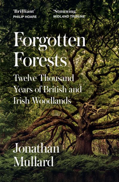Image for Forgotten Forests: Twelve Thousand Years of British and Irish Woodlands