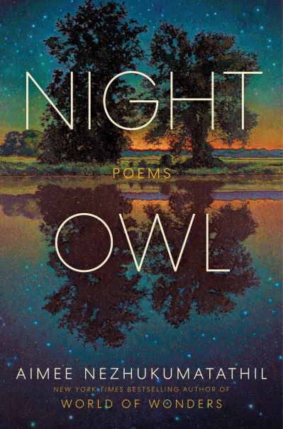 Image for Night Owl