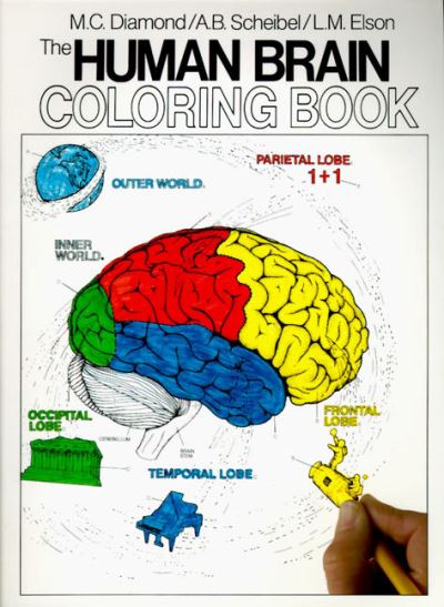 Download COS: The human brain coloring book by Marian C Diamond (Paperback) 9780064603065 | eBay