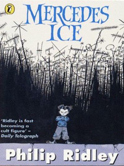 Mercedes Ice : an urban fairy story for modern children