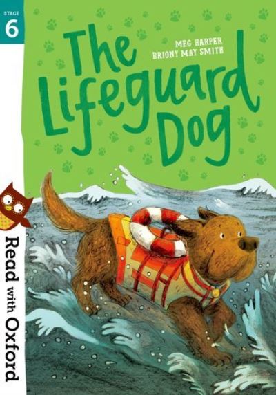 The Lifeguard Dog