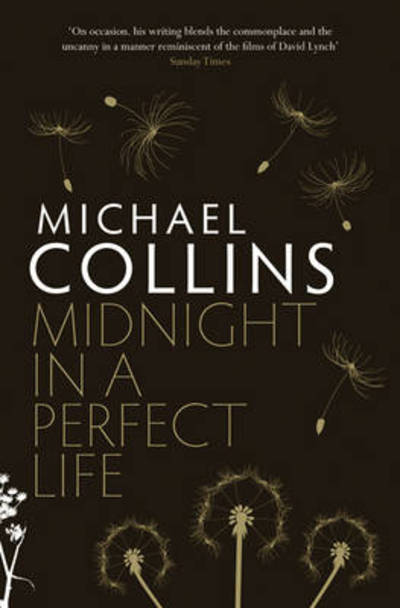 Midnight in a perfect life