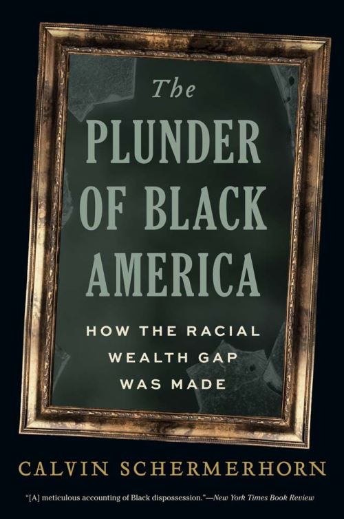 Image for The Plunder of Black America