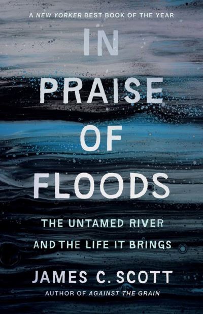 Image for In Praise of Floods: The Untamed River and the Life It Brings