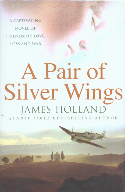 A pair of silver wings