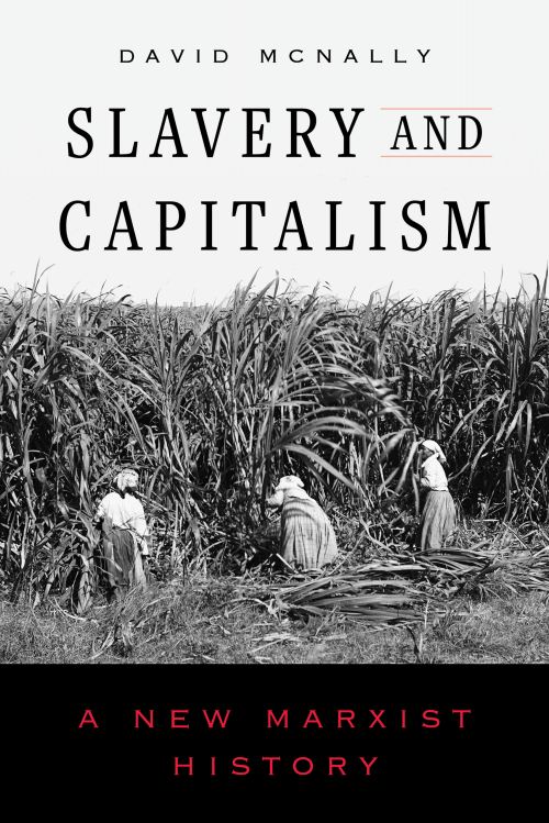 Image for Slavery and Capitalism