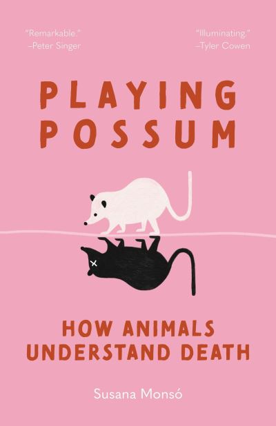 Image for Playing Possum