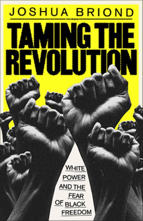 Image for Taming the Revolution: White Power and the Fear of Black Freedom