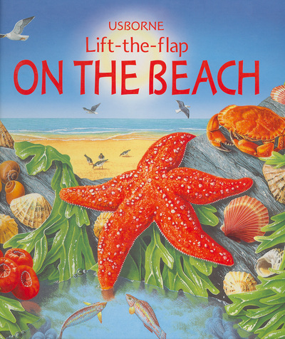 On the beach : lift-the-flap