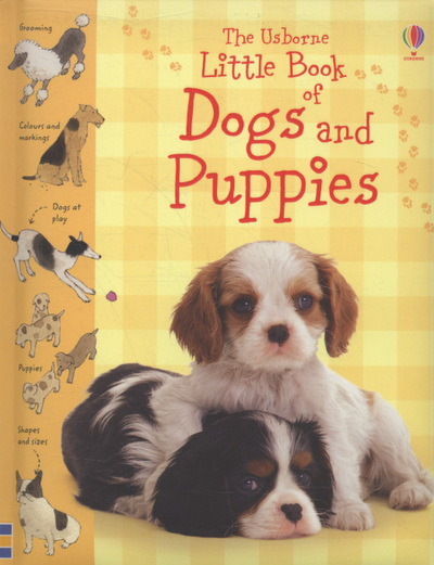 The Usborne little book of dogs and puppies