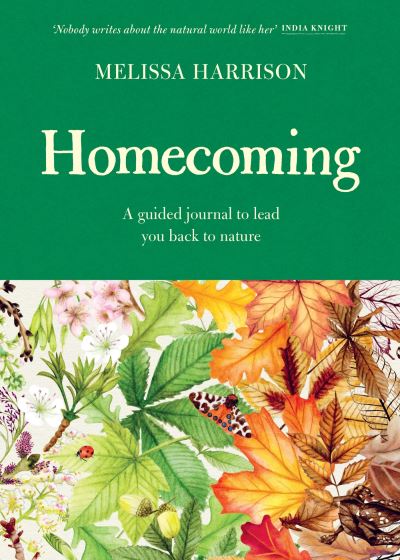 Thumbnail for Homecoming A Guided Journal to Lead You Back t:o Nature