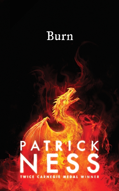 Burn [electronic resource]