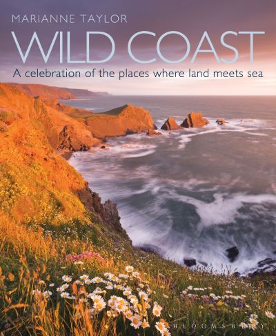 Wild coast : a celebration of the places where land meets sea