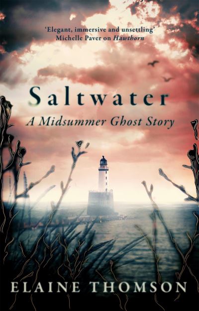 Image for Saltwater: A midsummer ghost story