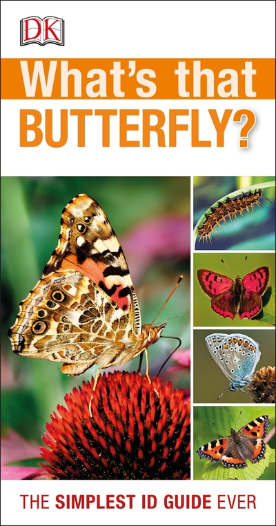 What's that butterfly?