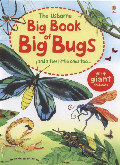 The Usborne big book of big bugs : and a few little ones too--